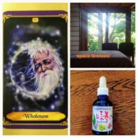 33.space天の実~tennomi~ 33,space天の実~tennomi~/さいたま