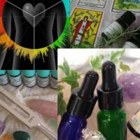 36.Light Words(ライトワーズ) 36.Light Words(ライトワーズ)(さいたまマップ)