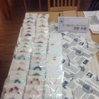 芳野木蓮