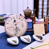 音楽とアート サロンドフィール