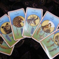 猫のいるセラピールーム